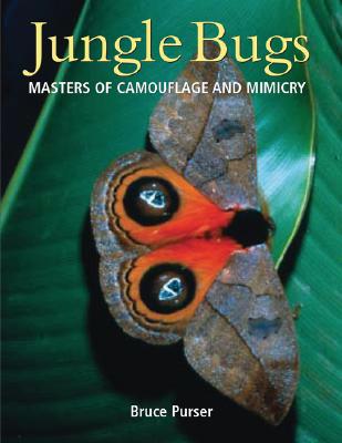 Image for Jungle Bugs: Masters of Camouflage and Mimicry Jungle Bugs: Masters of Camouflage and Mimicry