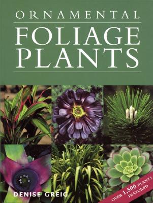 Ornamental Foliage Plants