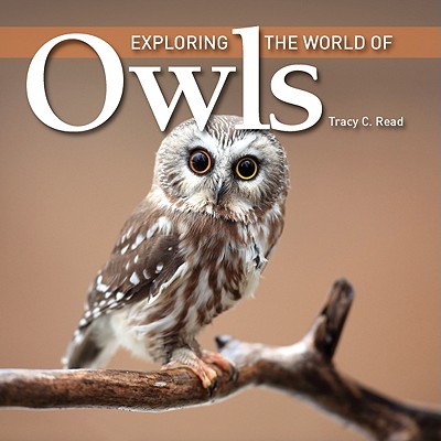 Image for Exploring the World of Owls Exploring the World of Owls