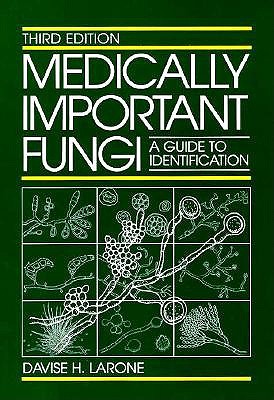 Image for Medically Important Fungi A Guide To Identification