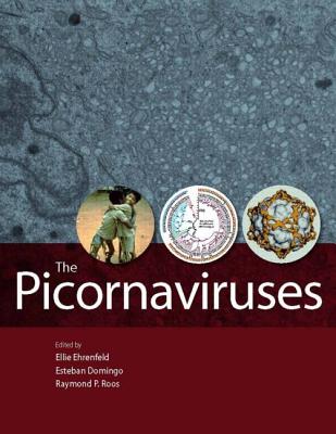 The Picornaviruses