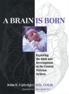 A Brain Is Born: Exploring the Birth and Development of the Central Nervous System