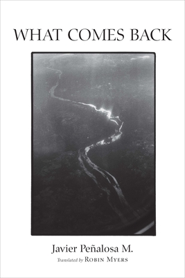 What Comes Back (English and original Spanish)