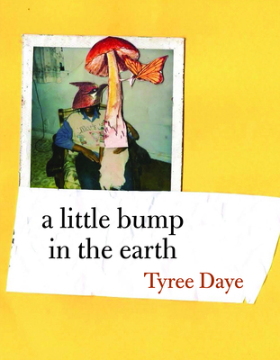 Little Bump in the Earth