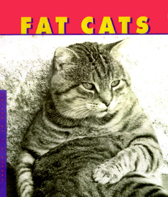 Image for Fat Cats Fat Cats