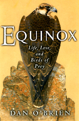 Equinox: Life, Love and Birds of Prey
