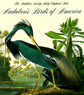 Audubon's Birds of America (Tiny Folios)