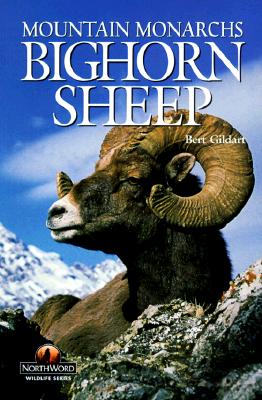 Image for Bighorn Sheep: Mountain Monarchs (Northword Wildlife Series) Bighorn Sheep: Mountain Monarchs (Northword Wildlife Series)