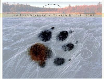 Image for Chased by the Light: A 90-Day Journey Chased by the Light: A 90-Day Journey