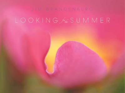 Looking for the Summer