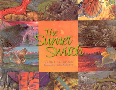 Image for The Sunset Switch The Sunset Switch