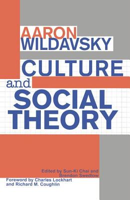 Image for Culture and Social Theory
