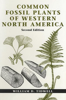 COMMON FOSSIL PLANTS OF WESTERN AMERICA (SECOND EDITION)