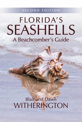 Image for Florida's Seashells: A Beachcomber's Guide Florida's Seashells: A Beachcomber's Guide