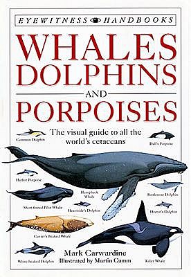 Whales Dolphins and Porpoises (American)