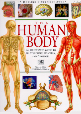 Image for The Human Body (An Illustrated Guide to Its Structure, Function, and Disorders)