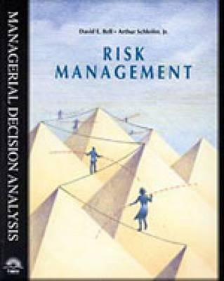 Risk Management (Managerial Decision Analysis Series)