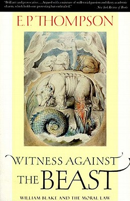 Image for Witness Against the Beast: William Blake and the Moral Law