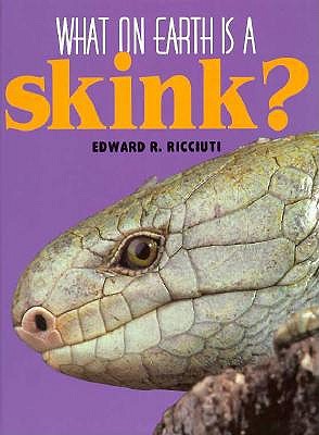 What on Earth Is a Skink