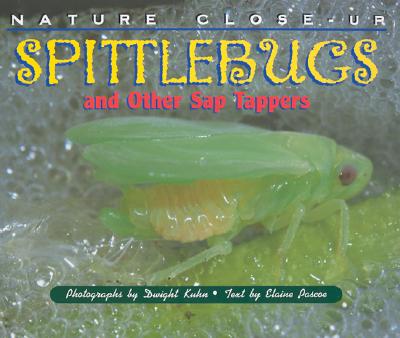 Nature Close-Up - Spittlebugs and Other Sap Tappers
