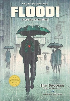 Image for Flood!: A Novel in Pictures