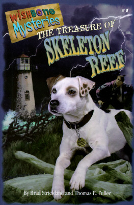 Treasure of Skeleton Reef