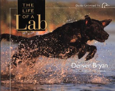 Image for The Life of a Lab The Life of a Lab