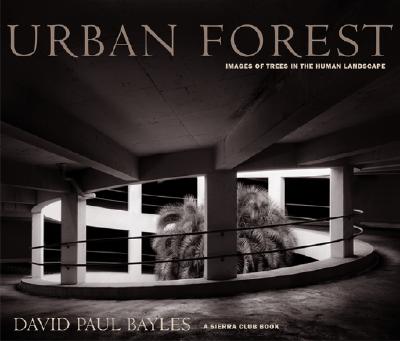 Image for Urban Forest: Images of Trees in the Human Landscape
