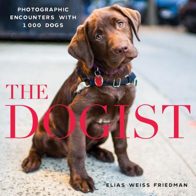 Image for Dogist: Photographic Encounters with 1,000 Dogs