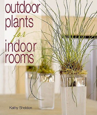 Outdoor Plants For Indoor Rooms