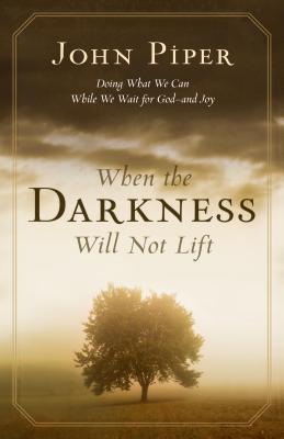 Image for When the Darkness Will Not Lift: Doing What We Can While We Wait for God--and Joy