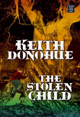The Stolen Child (Large Print)