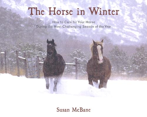 Horse in Winter: How to Care for Your Horse During the Most Challenging Season of the Year