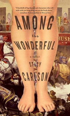 AMONG THE WONDERFUL: A NOVEL