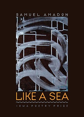 Like a Sea (Iowa Poetry Prize)
