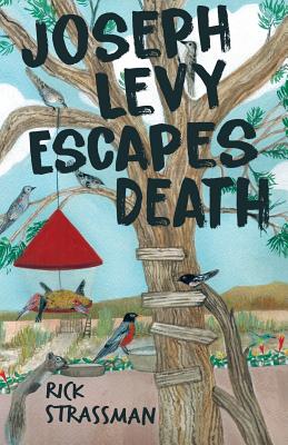 Image for Joseph Levy Escapes Death Joseph Levy Escapes Death