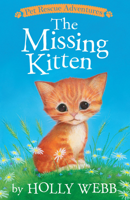 Missing Kitten