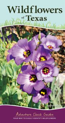 Wildflowers of Texas: Your Way to Easily Identify Wildflowers (Adventure Quick Guides)