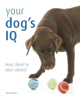 Your Dog's IQ: How Clever is Your Canine