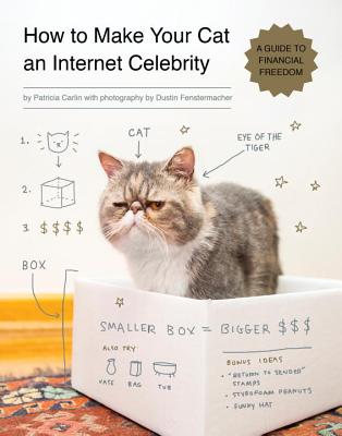 Image for How To Make Your Cat An Internet Celebrity