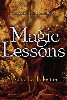 Image for Magic Lessons (Book 2 in the Magic or Madness Trilogy)