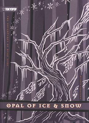 Image for Adventures of Duan Surk, The Volume 4: Opal of Ice & Snow (v. 4)