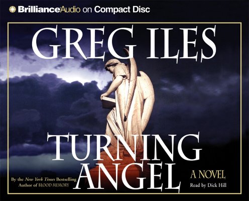 Image for Turning Angel (Iles, Greg)