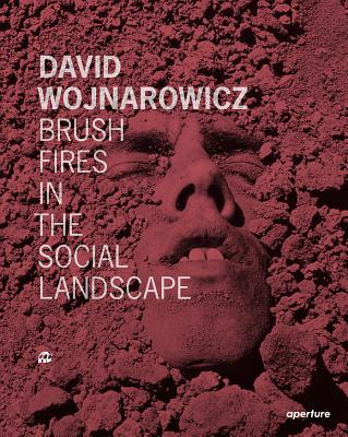 David Wojnarowicz: Brush Fires in the Social Landscape: Twentieth Anniversary Edition (Revised)
