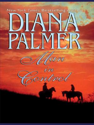 Man In Control (Wheeler Large Print Book Series)