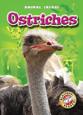 Image for Ostriches (Blastoff! Readers: Animal Safari) Ostriches (Blastoff! Readers: Animal Safari)