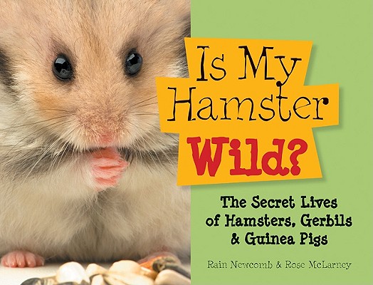 Is My Hamster Wild: The Secret Lives of Hamsters, Gerbils & Guinea Pigs