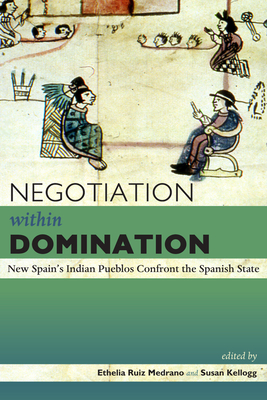 Image for Negotiation within Domination: New Spain's Indian Pueblos Confront the Spanish State (Mesoamerican Worlds) Negotiation within Domination: New Spain's Indian Pueblos Confront the Spanish State (Mesoamerican Worlds)