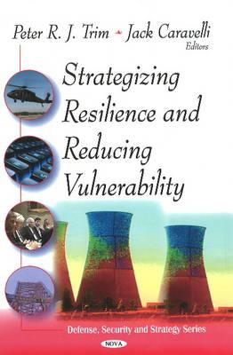 Strategizing Resilence and Reducing Vulnerability (Defense, Security and Strategy)