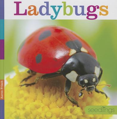 Image for Ladybugs (Seedlings) Ladybugs (Seedlings)